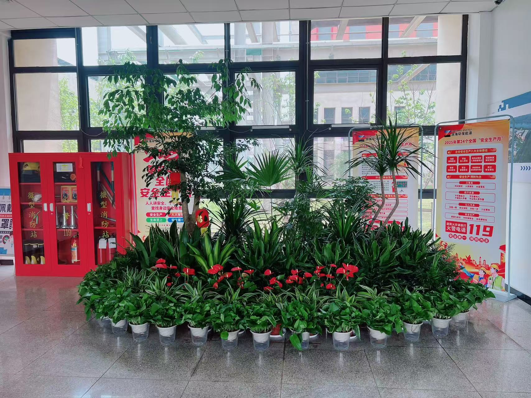 领略宁波余姚专业盆景租摆，感受自然魅力